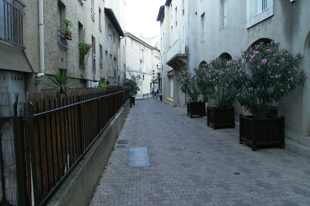 163.jpg