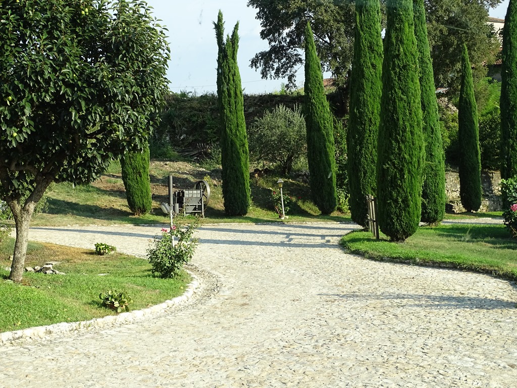 126.jpg