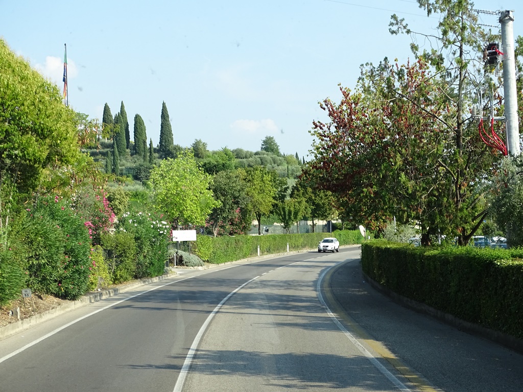 110.jpg