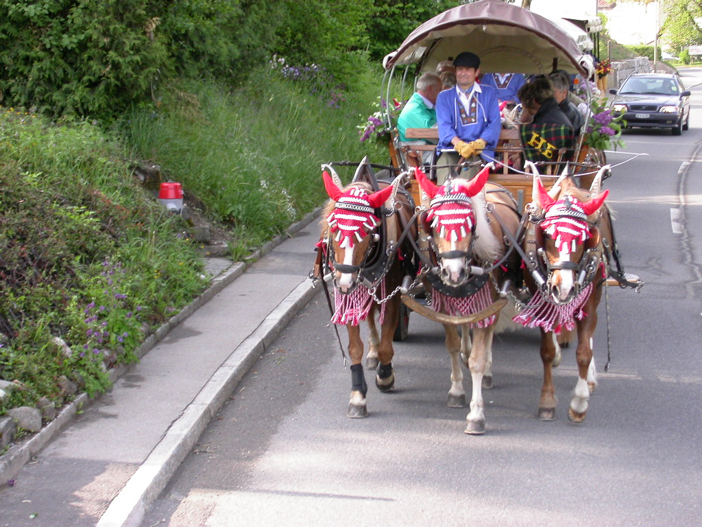 2667_001.jpg
