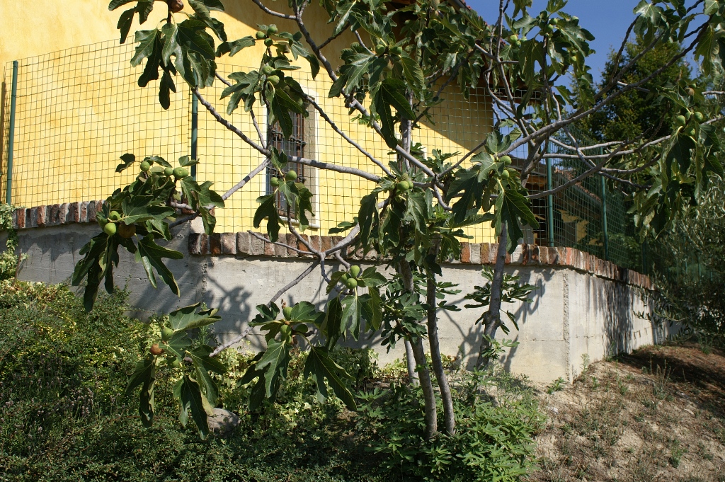 168.jpg