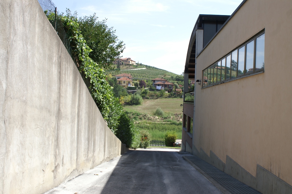 255.jpg