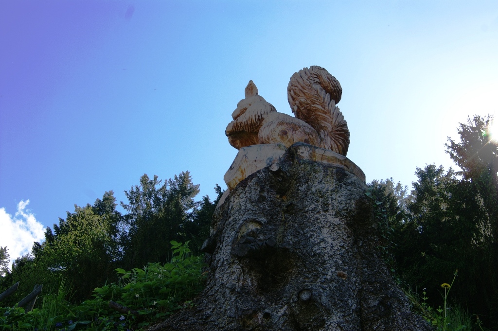 103.jpg