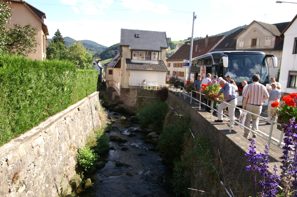 175.jpg