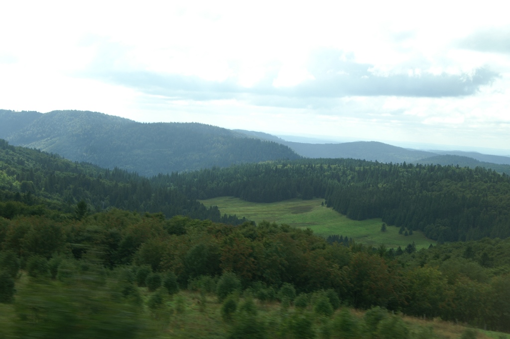 177.jpg