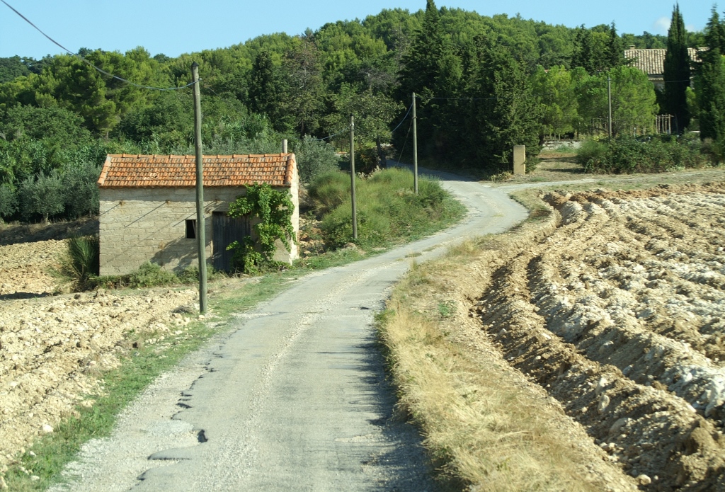 173.jpg