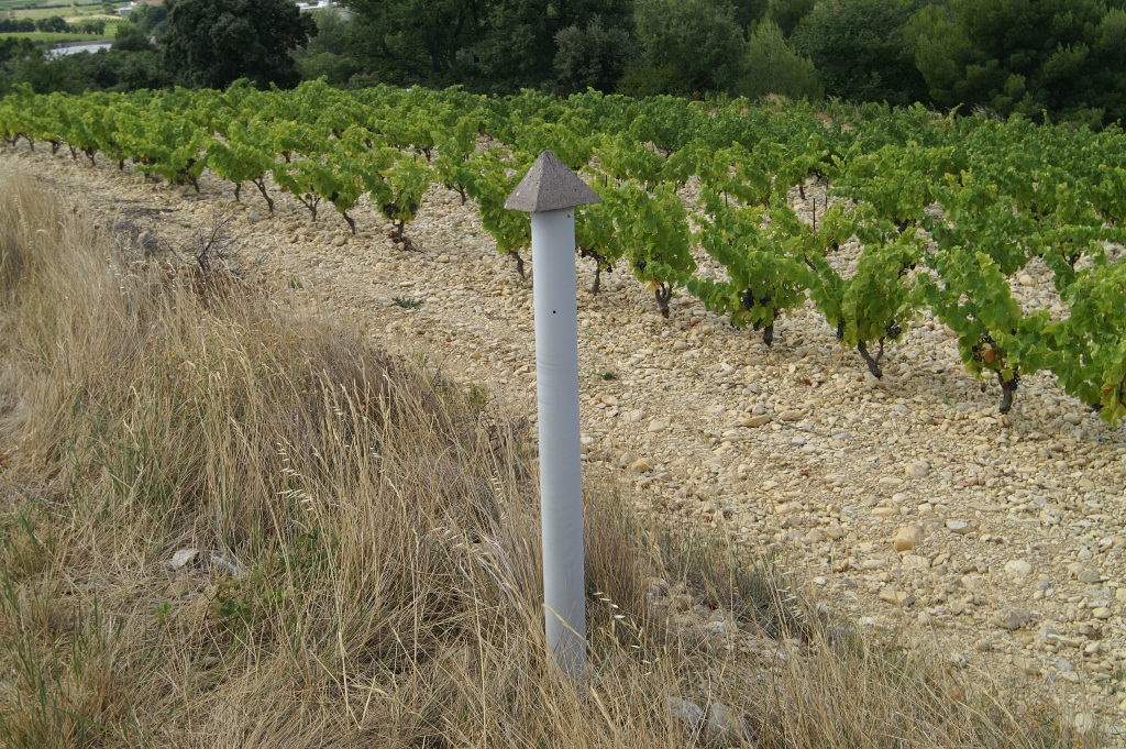 220.jpg