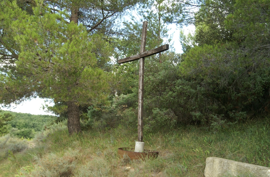 237.jpg