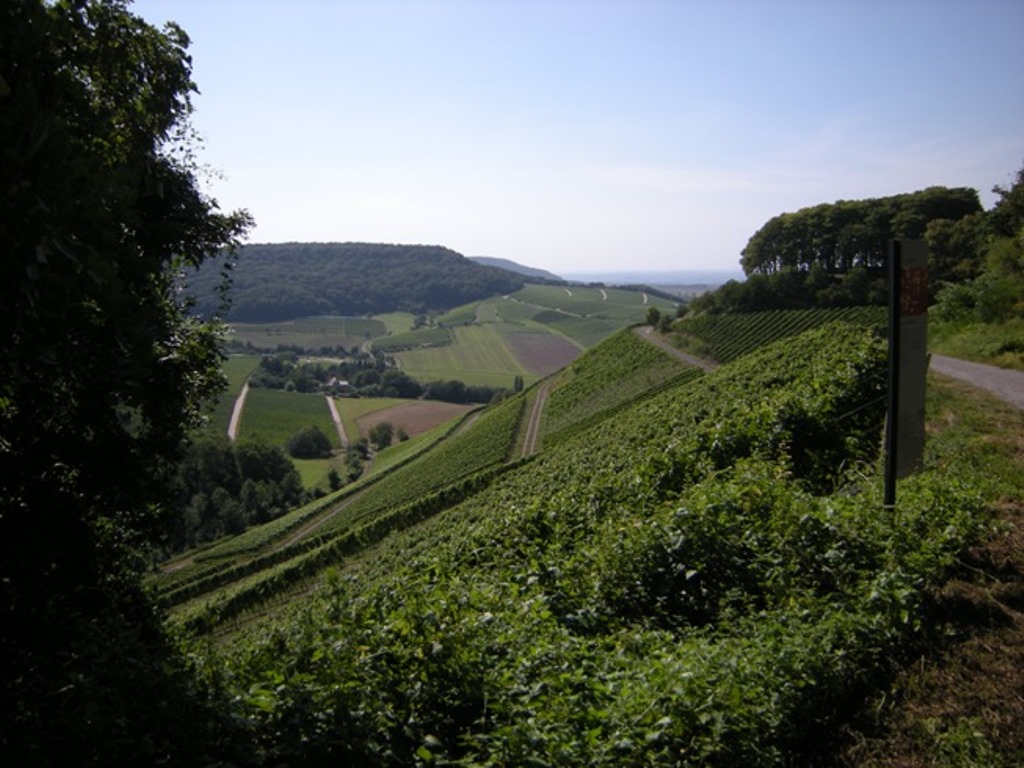146.jpg