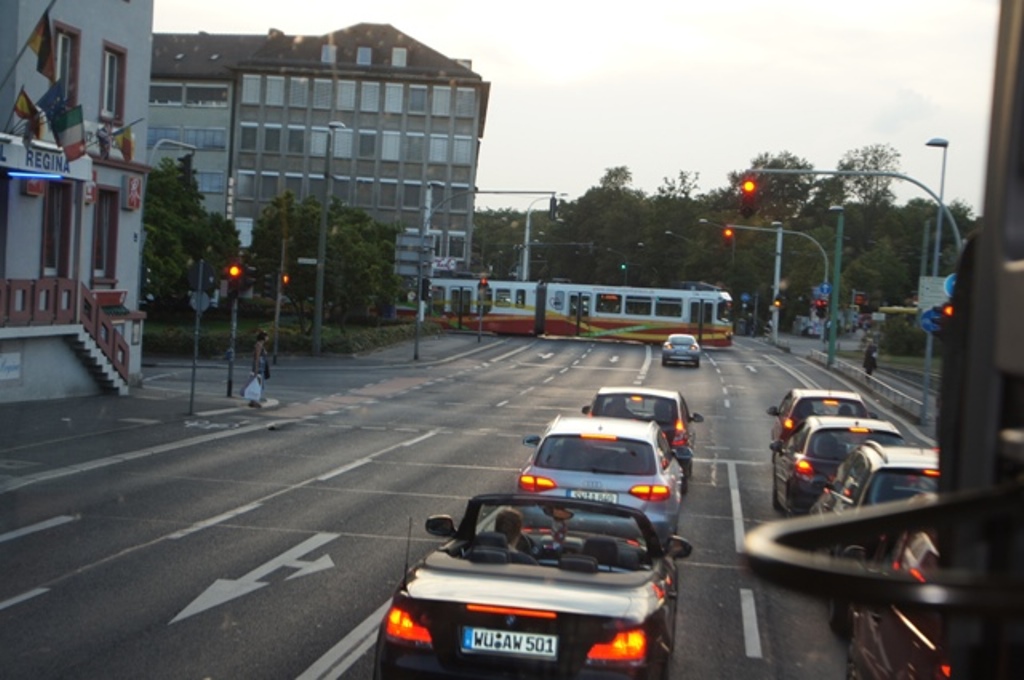 233.jpg