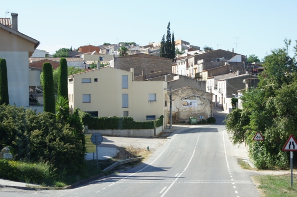135.jpg