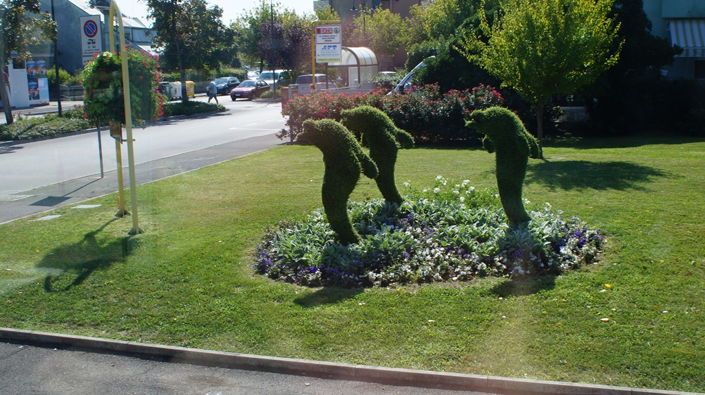 103.jpg