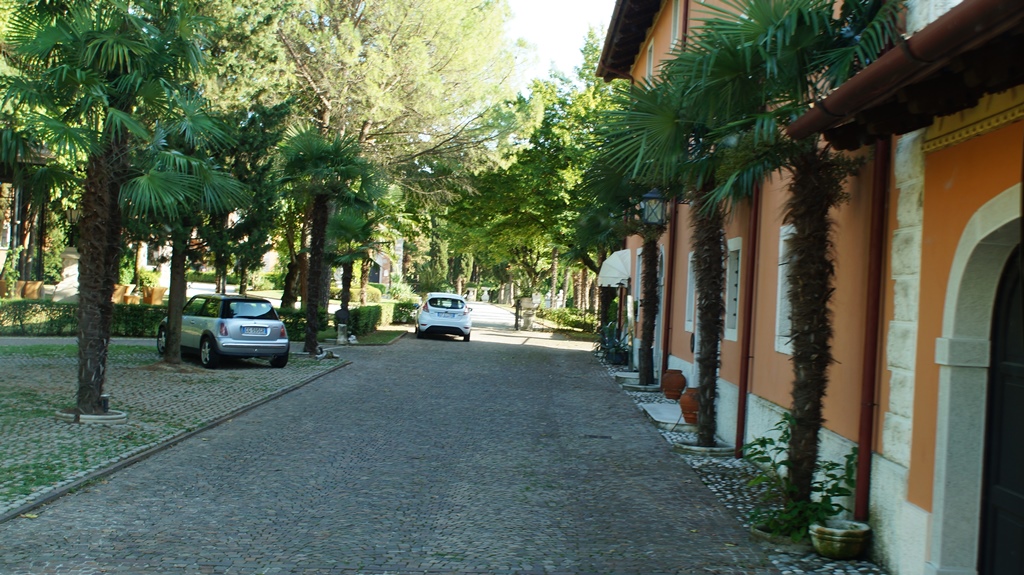 165.jpg