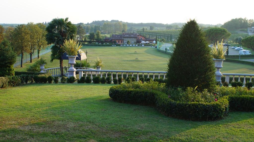 219.jpg