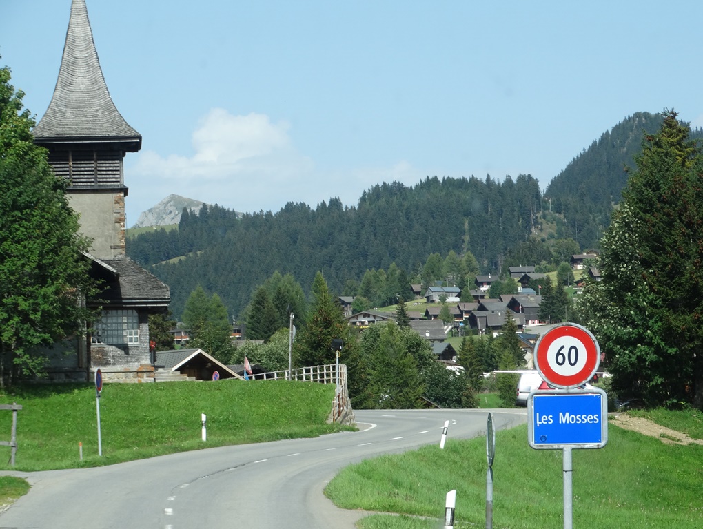 490.jpg