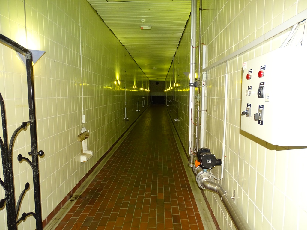 Fr017.jpg
