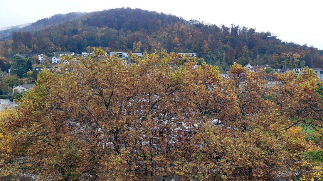 2021_Baden_Herbst_280529.jpg