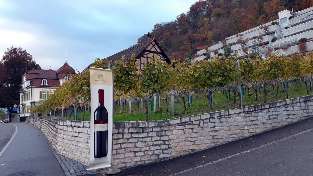 2021_Baden_Herbst_282929.jpg