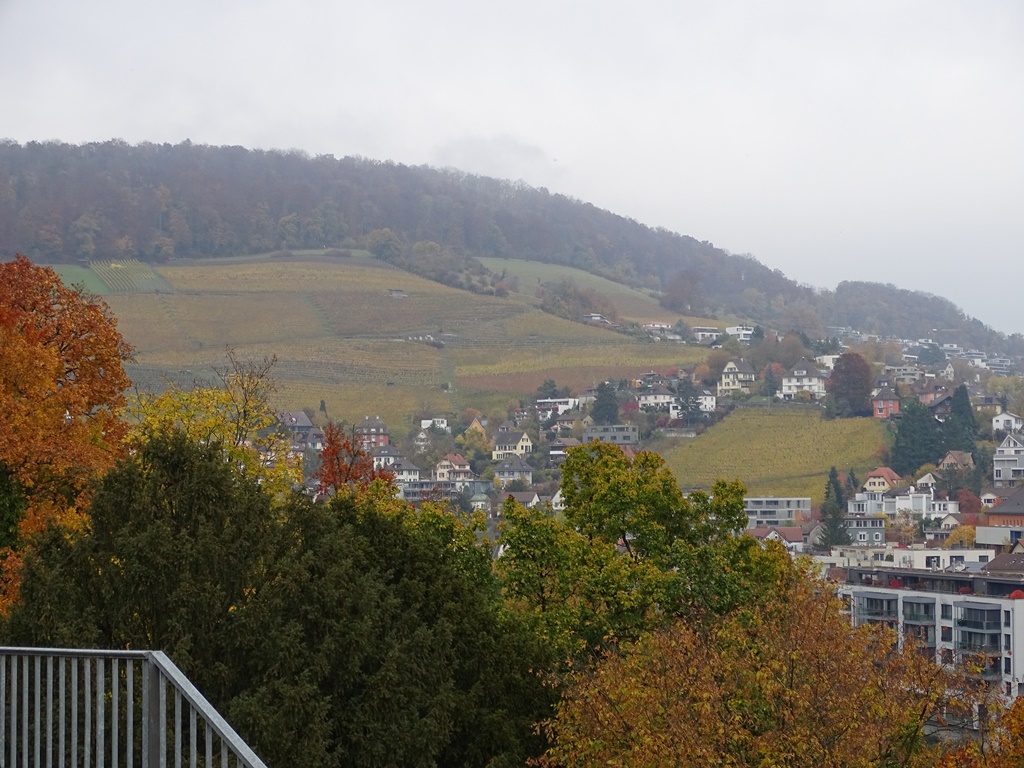 Baden2C_30_10_2021-057.jpg