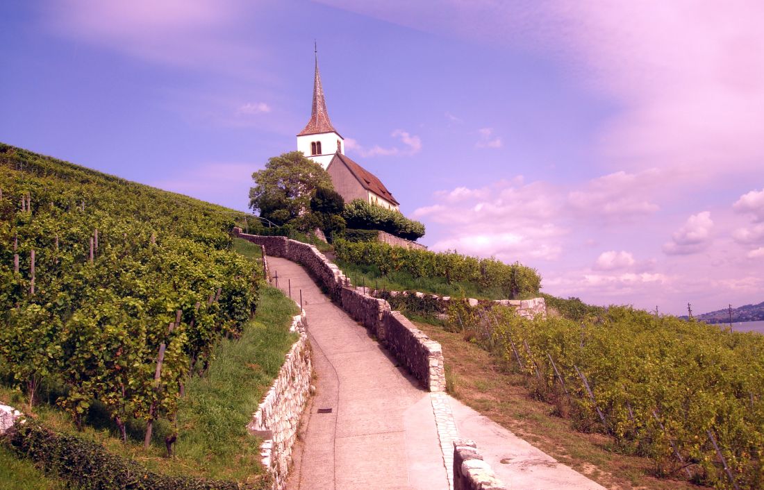 W21T_282329.JPG