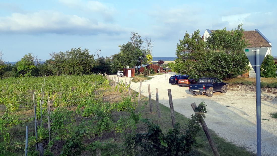WR_2022_2802729.jpg